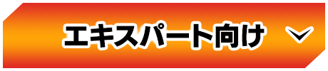 エキスパート向け